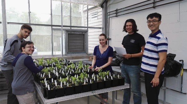 Greenhouse Study Conducted at Holden Published in the Journal Oecologia