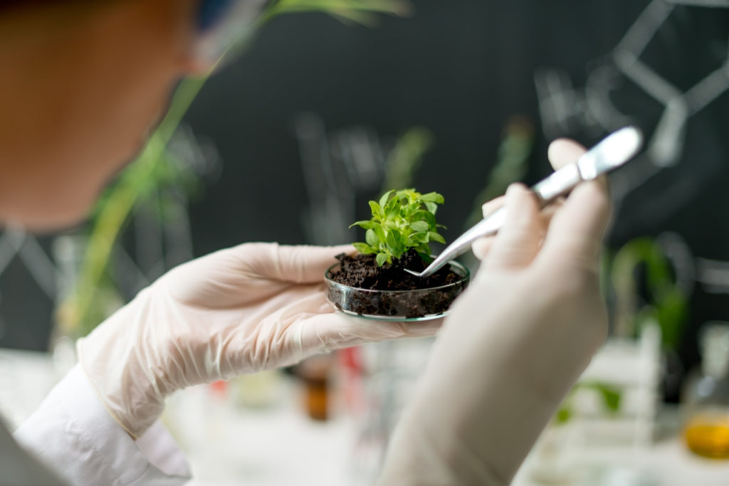 When an Ecologist is a Lab Rat
