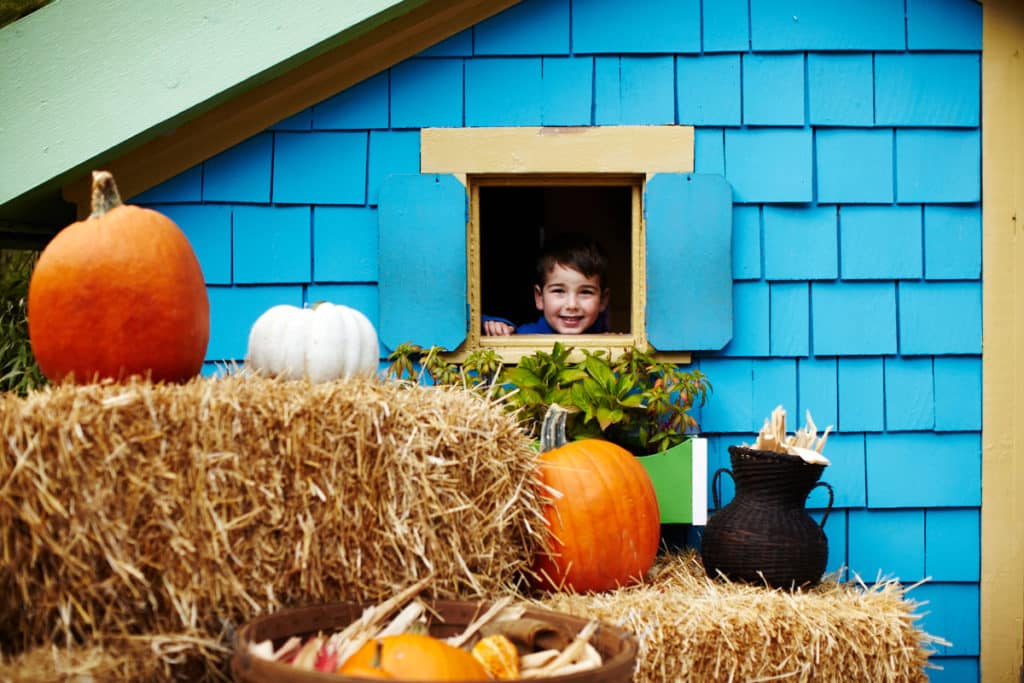 Holden Forests & Gardens Celebrates October with Fun Fall Experiences for All Ages