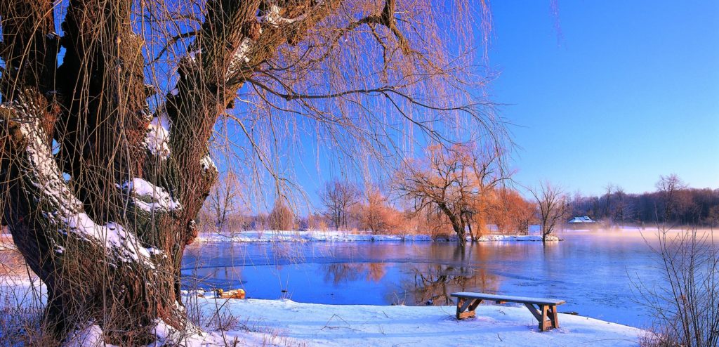 Winter is Wonderful