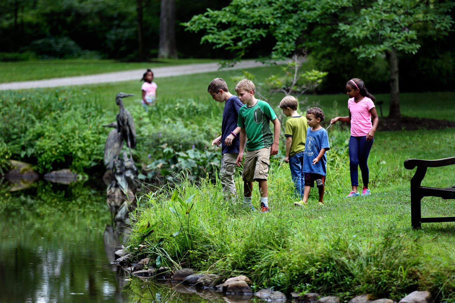 Scout Programs