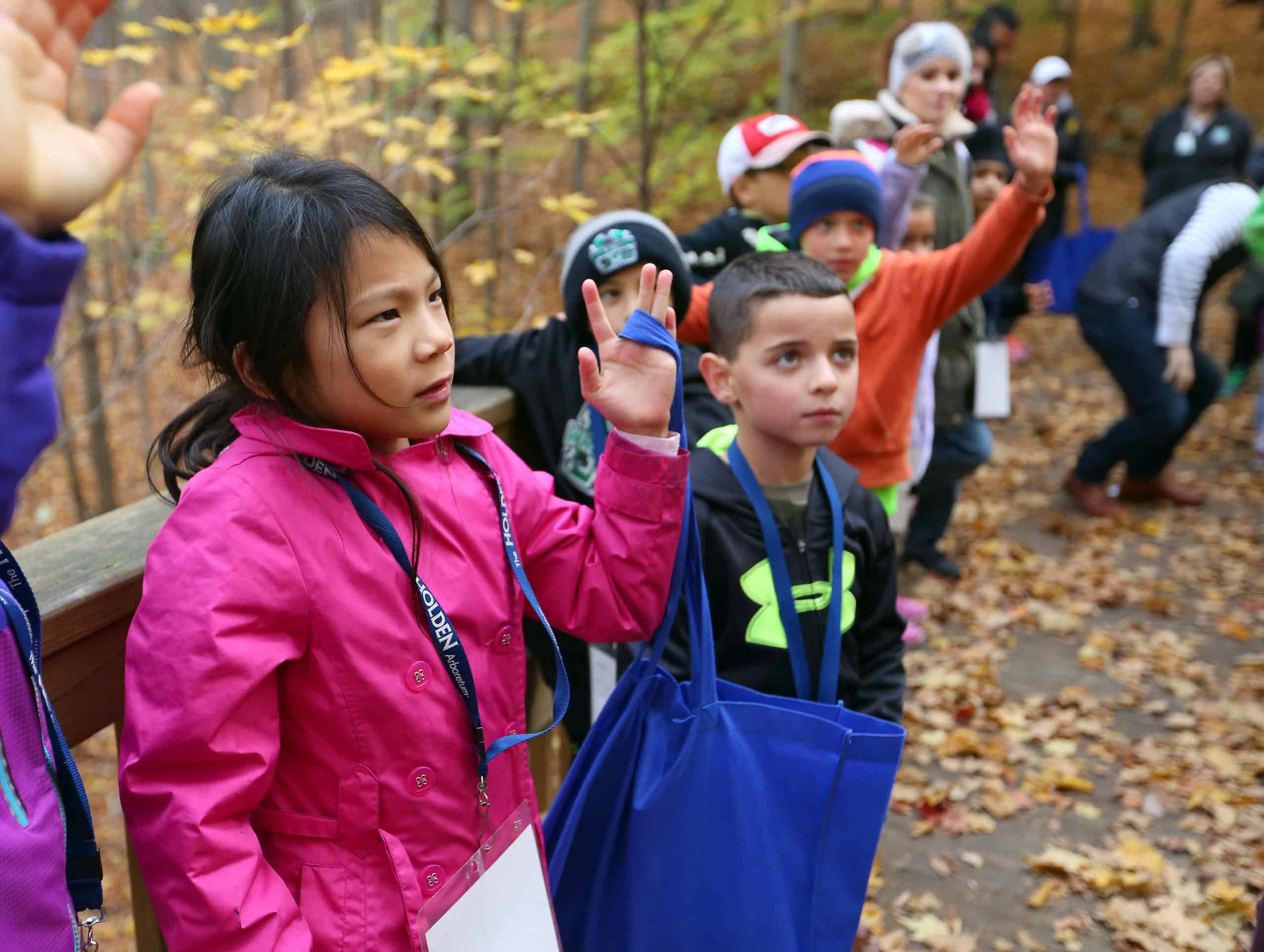 Holden Arboretum School and Group Field Trips photo from the official site