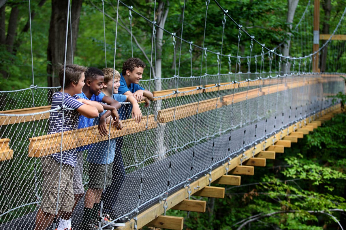 Murch Canopy Walk » Holden Forests & Gardens