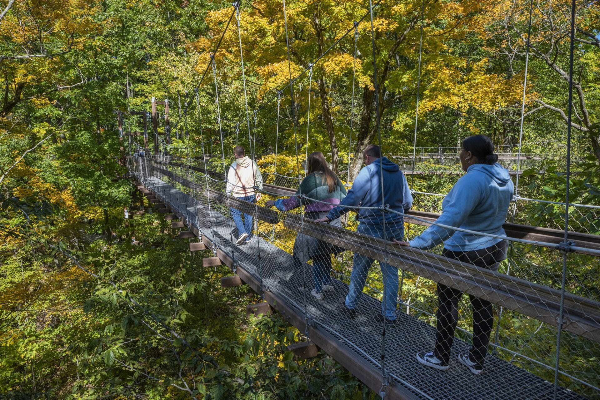 Fall at Holden Arboretum