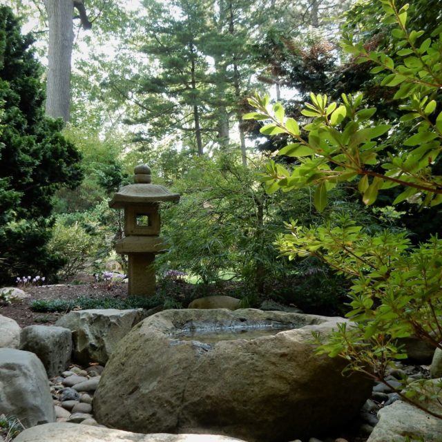 Zen Through the Lens: Capturing the Essence of a Japanese Garden