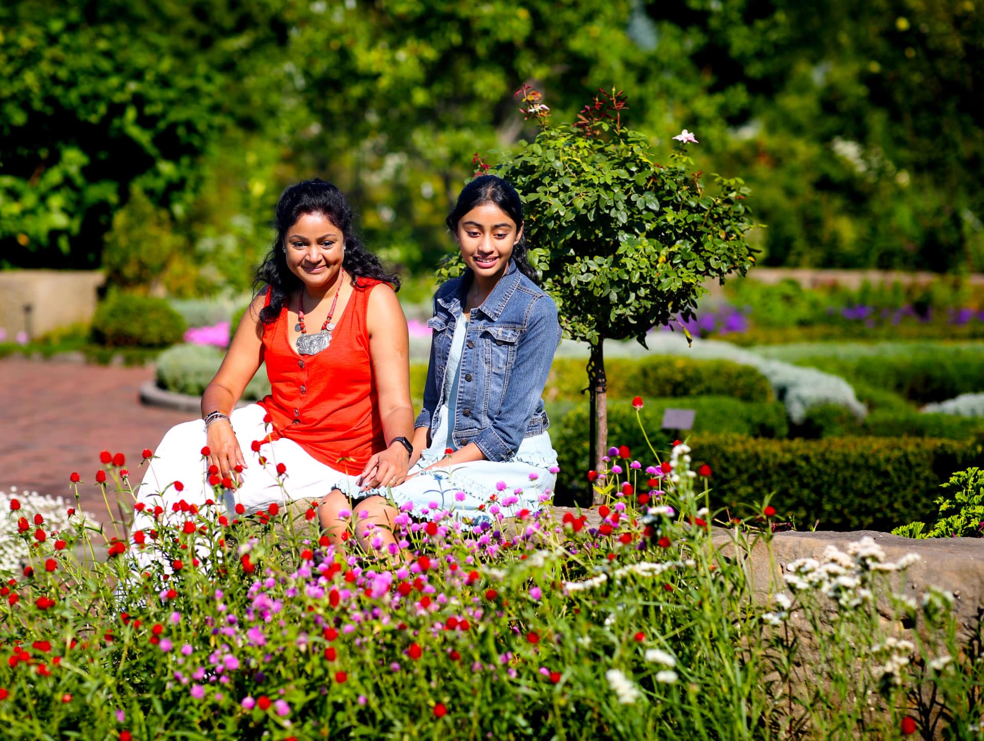 Return of the Butterflies » Cleveland Botanical Garden » Holden Forests &  Gardens