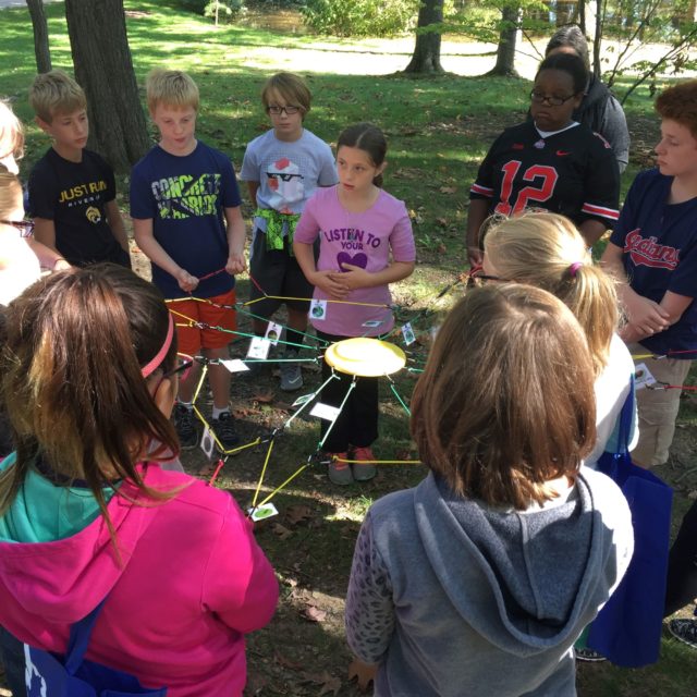 Energy Transfer: How Many Bears?