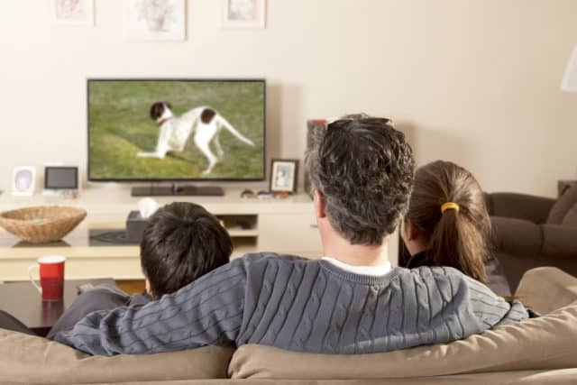 Cuddle Up to a Good Documentary