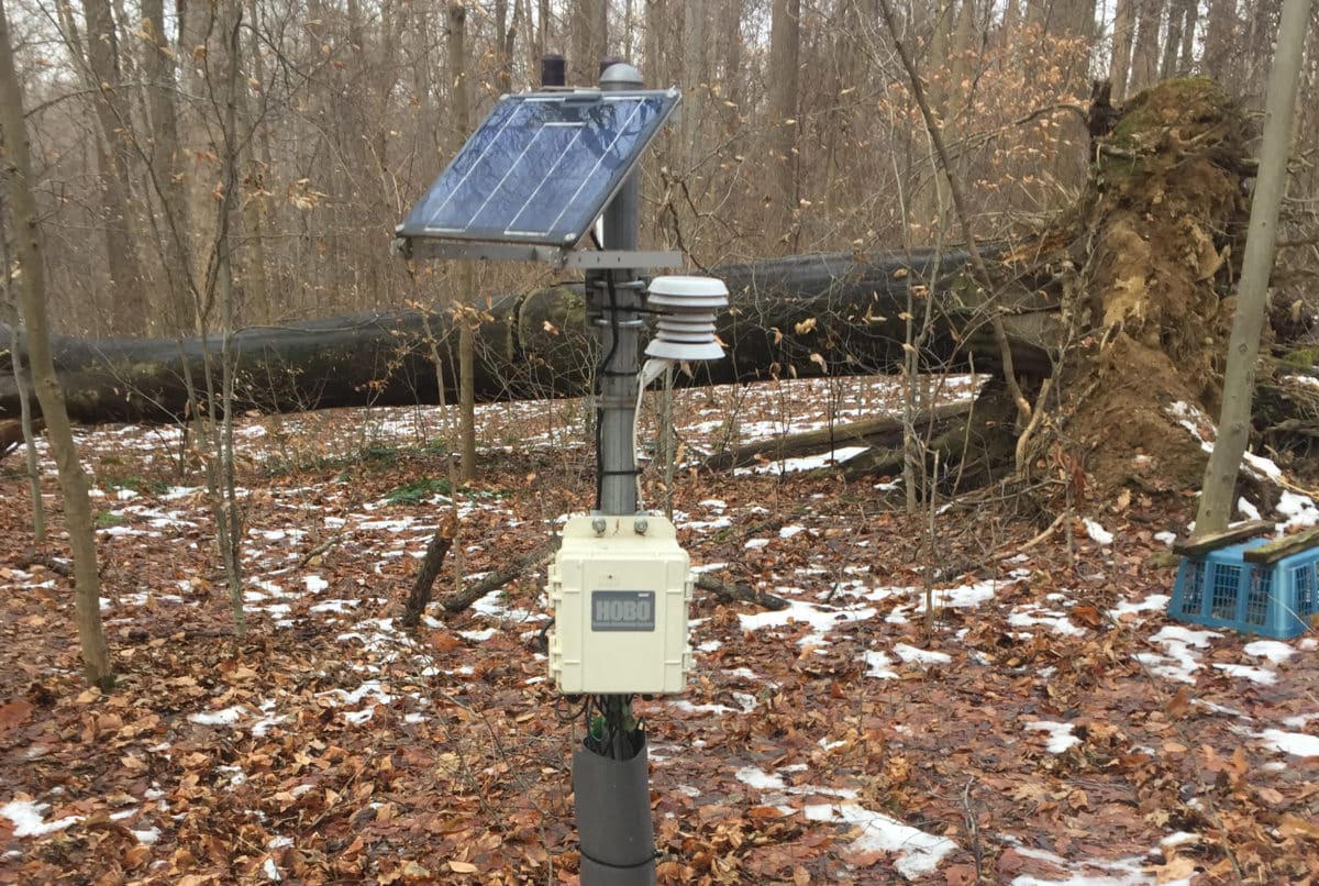 Diversity of soil fungi and microbes » HF&G