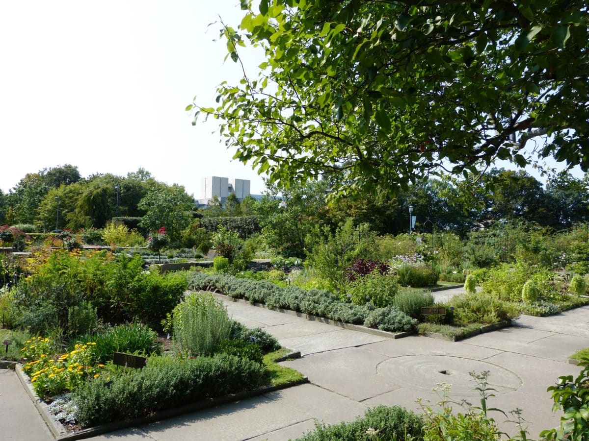 Herb Garden » Holden Forests & Gardens