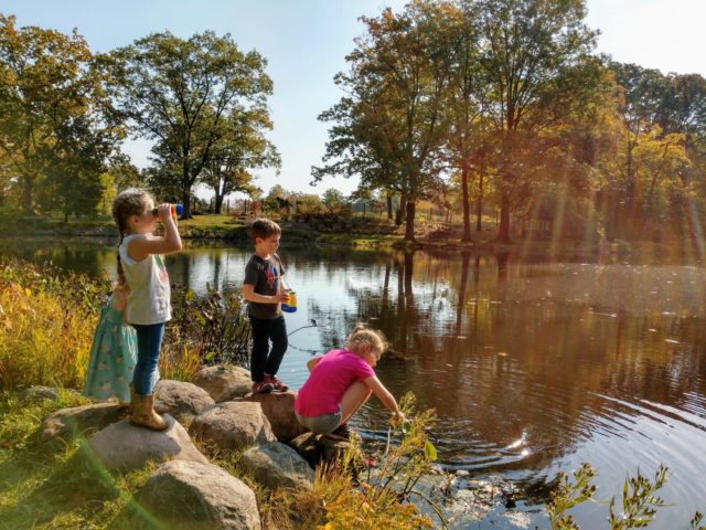 Pond Adaptations