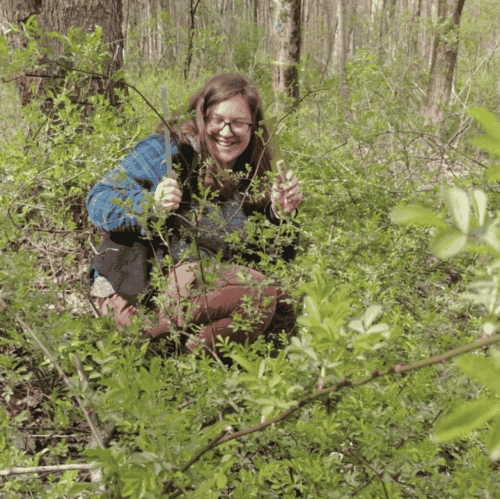 Promoting Healthy Forests Through Research at Working Woods » Land
