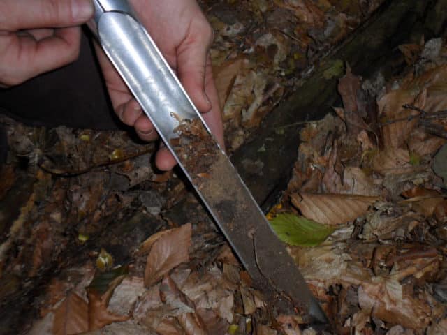 Diversity of soil fungi and microbes