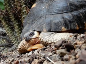 Hershey Children's Garden » Cleveland Botanical Garden » Holden Forests ...