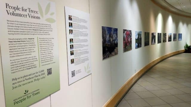 Eppig and Guren Galleries