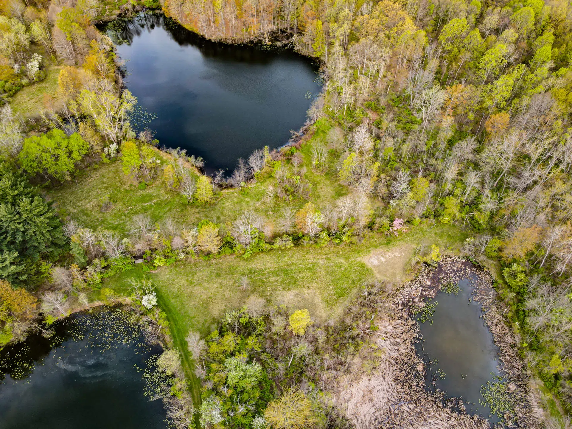 Natural Areas