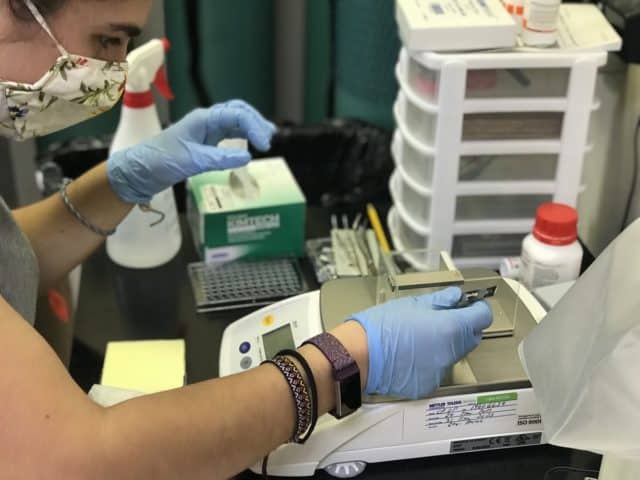 The perks of genome size in a rapidly changing world