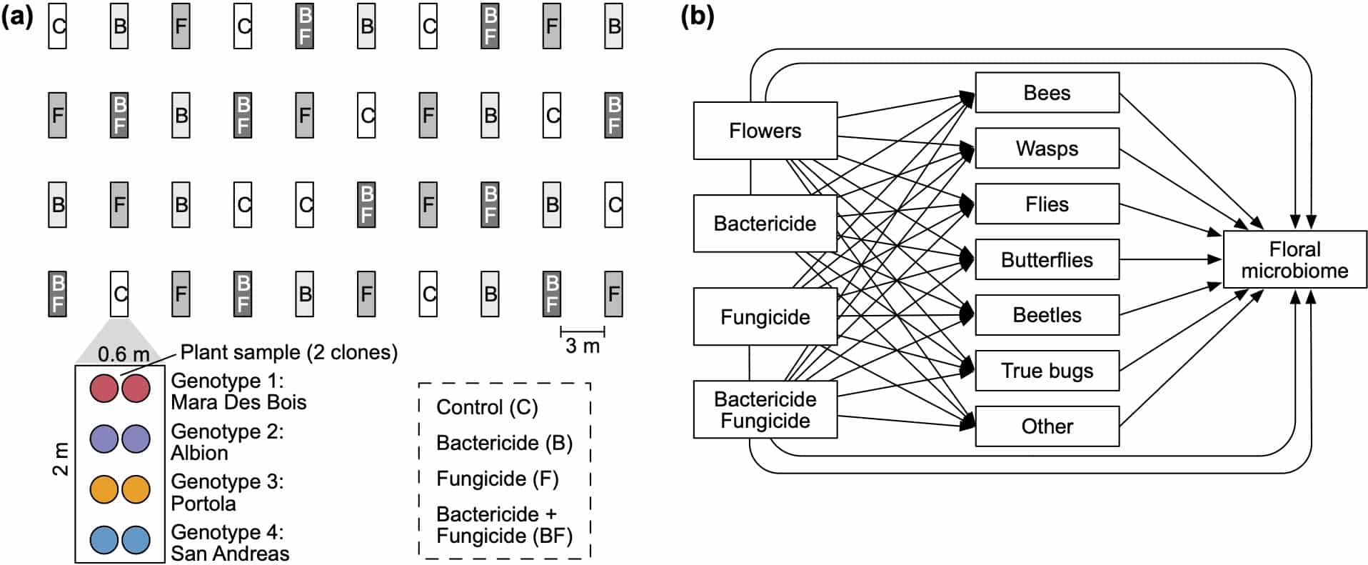 Pollinators, agrochemicals, microbiomes