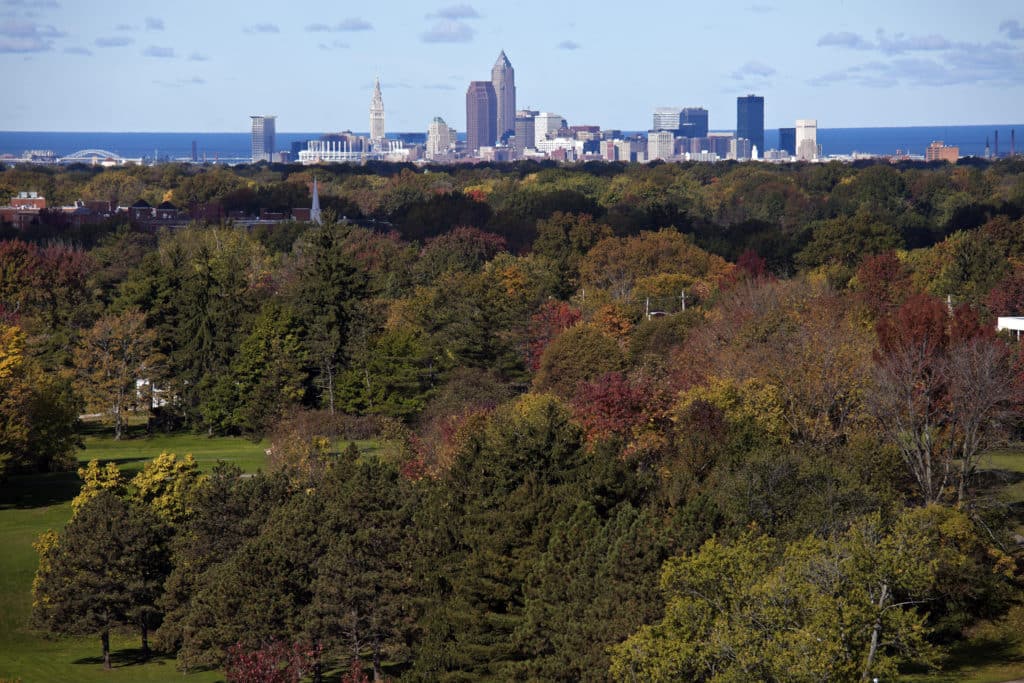 PBS NewsHour features Holden Forests & Gardens and our partners’ urban reforestation work
