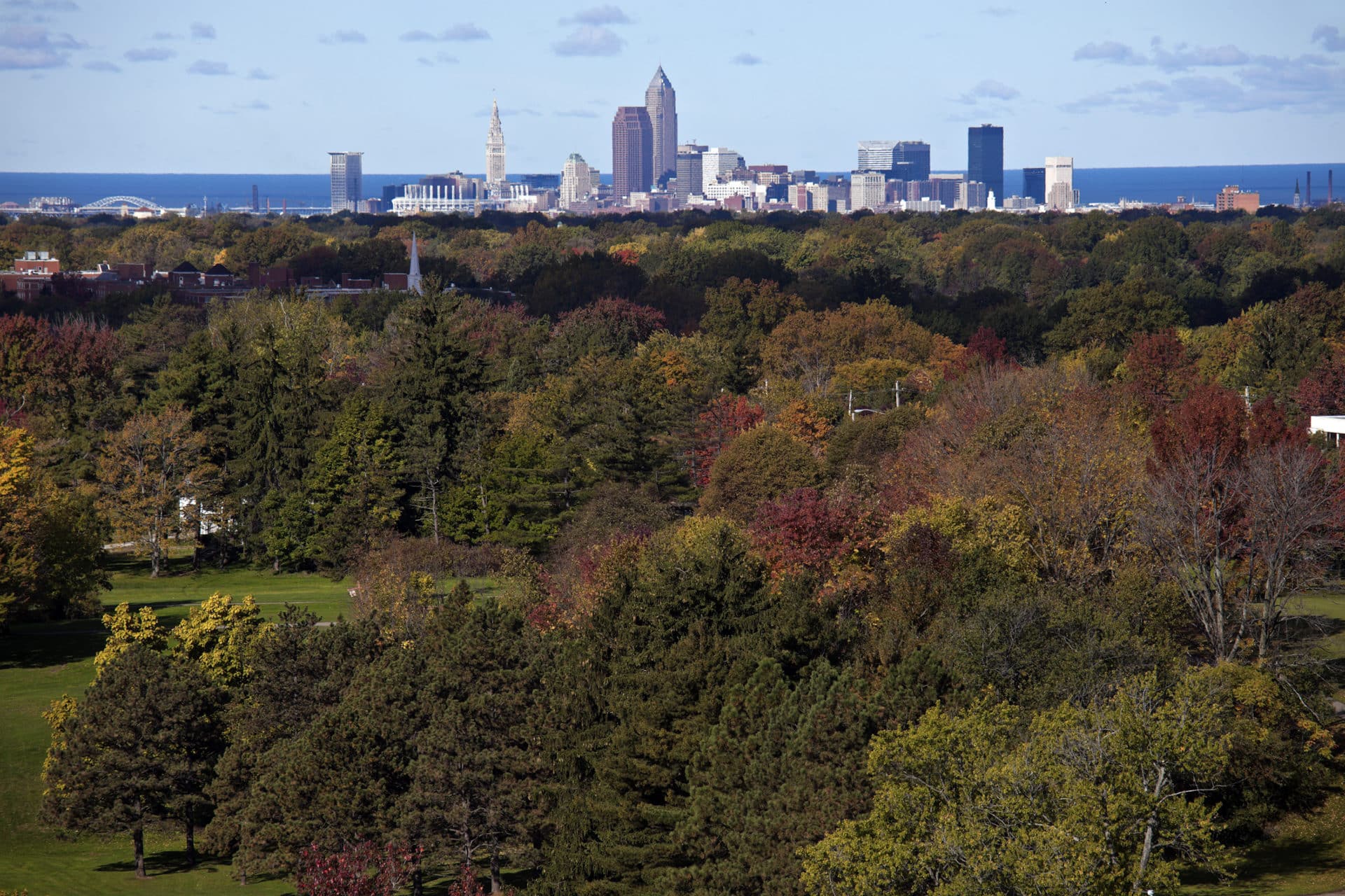 The Cleveland Tree Plan » Holden Forests & Gardens