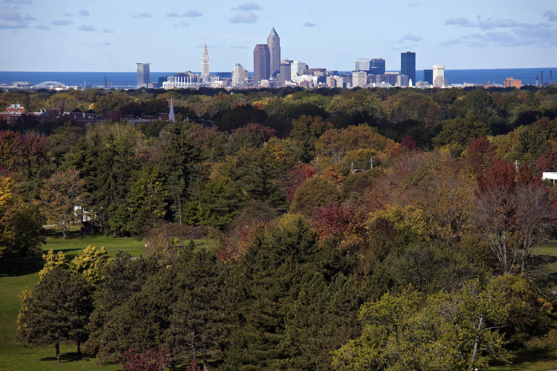 Cleveland Tree Plan