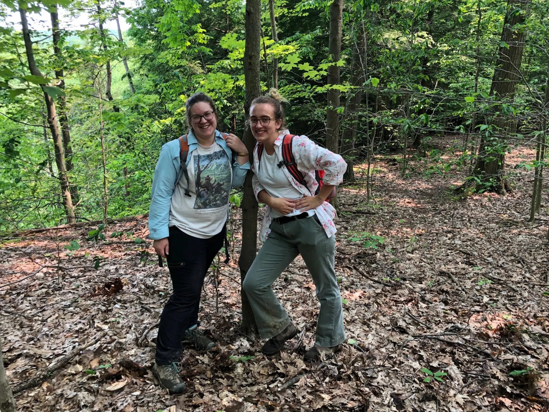 Team in Working Woods