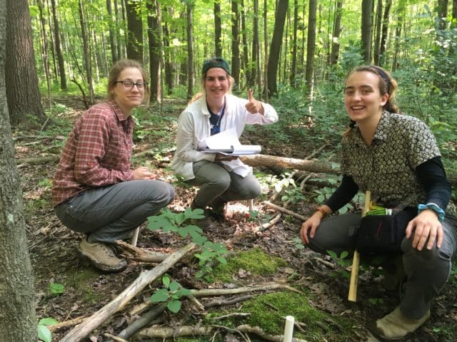 Forest management and restoration
