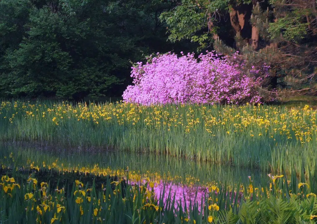 Leach Research Station Weekly Drop-In Hours