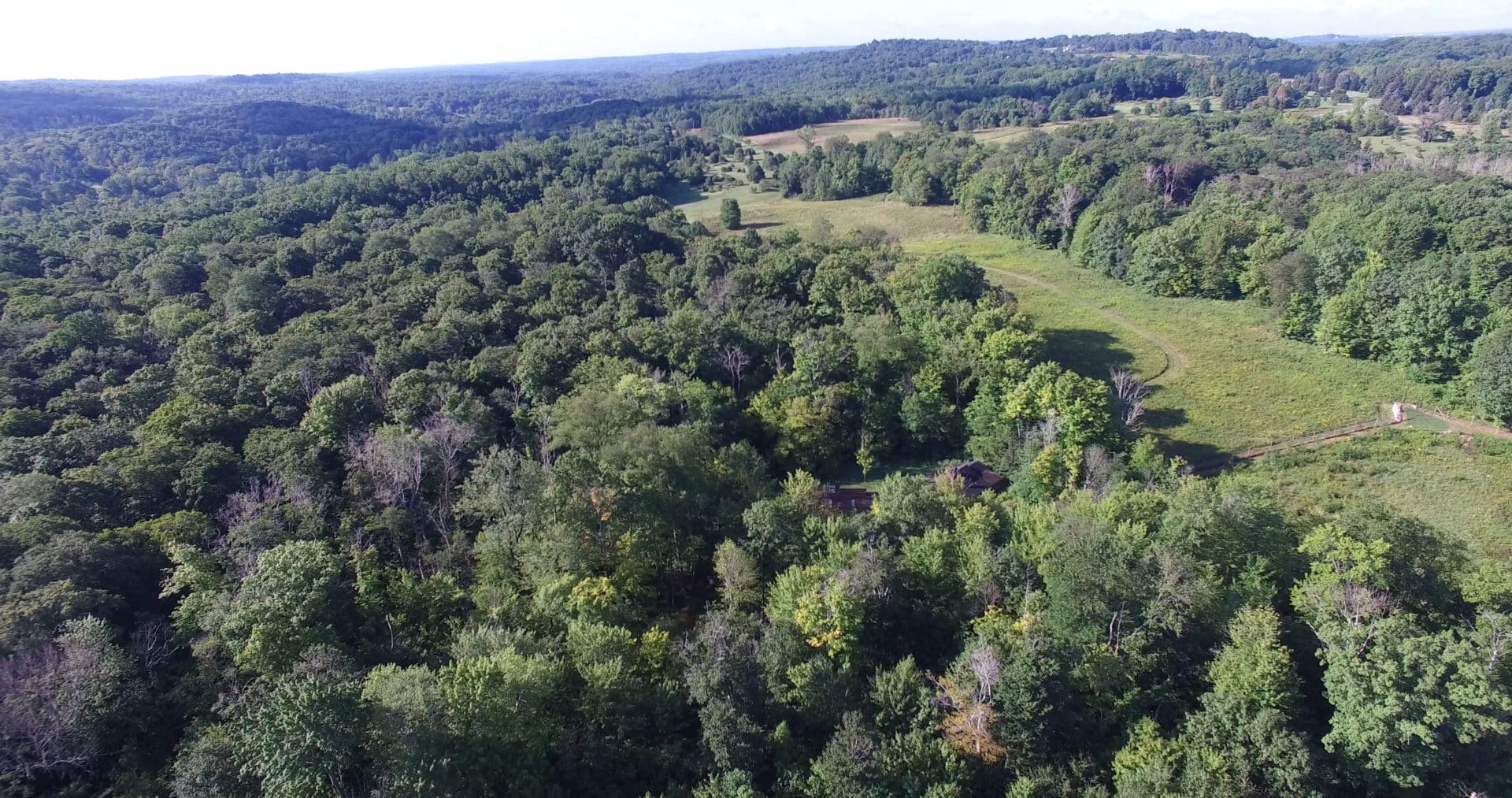 Working Woods
