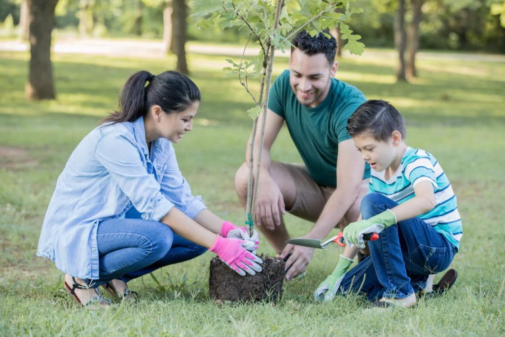 Holden Forests & Gardens Awarded $200,000 Grant from The Cleveland Foundation for People for Trees