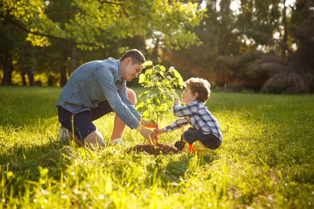 Holden Forests & Gardens Launches People for Trees