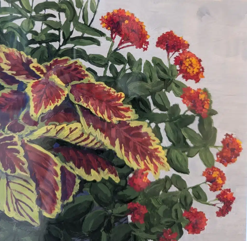 Botanical Painting & Drawing
