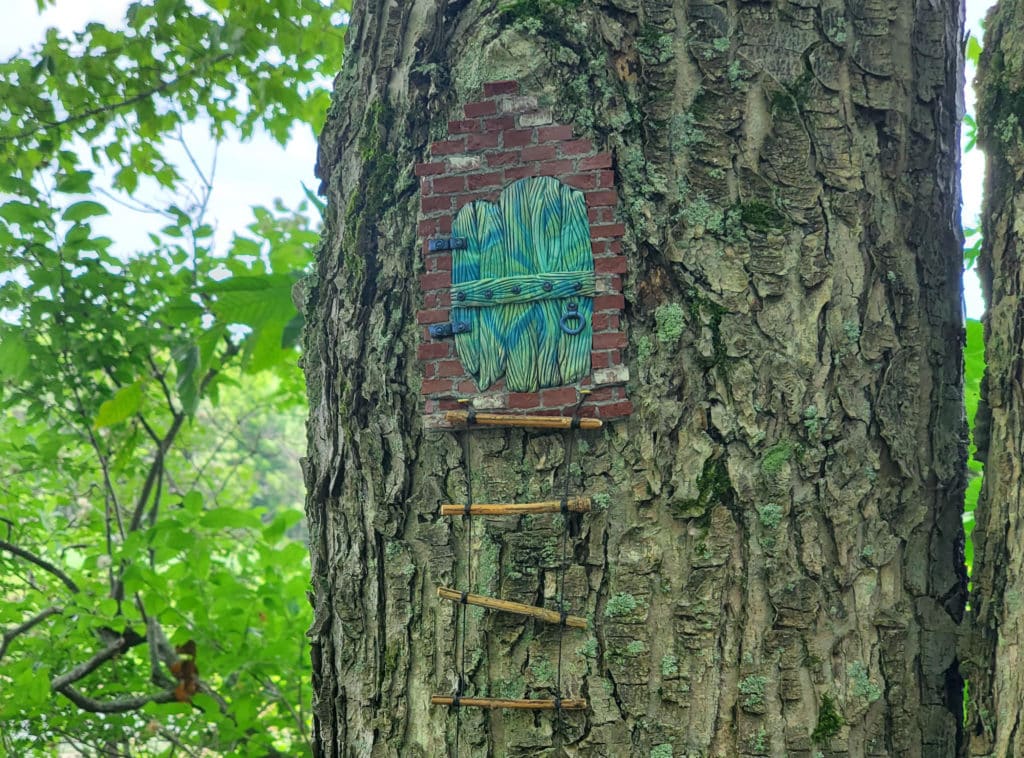 Holden hosts first exhibit across the botanical garden and arboretum campuses