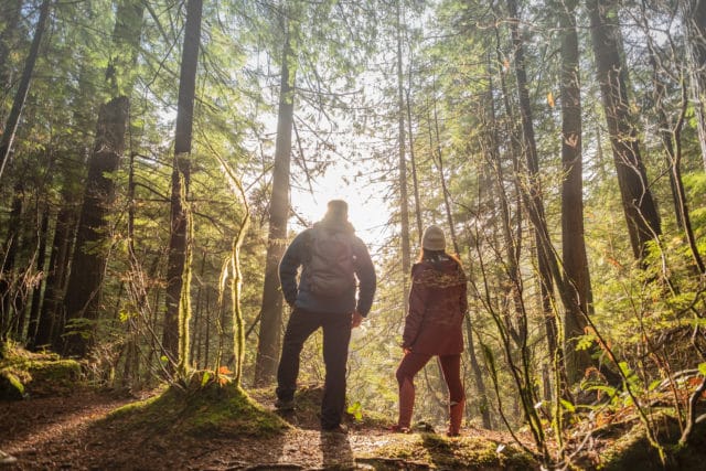 The Most Picturesque Hikes at Holden Arboretum