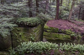 Little Mountain