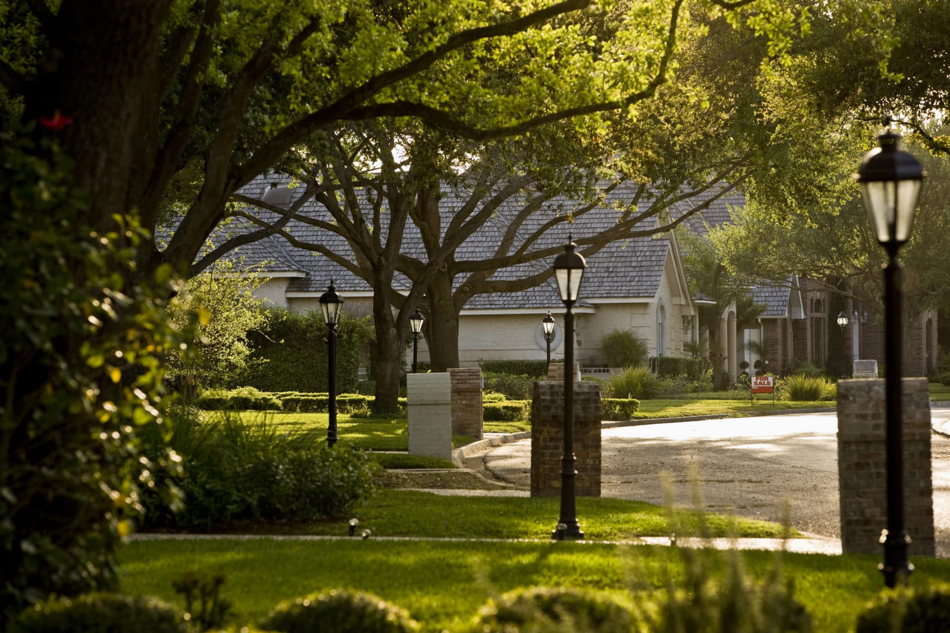 Trees in a neighborhood