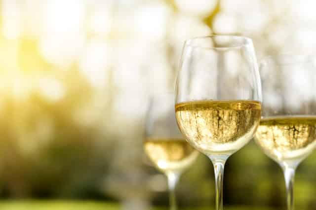 Wine & Cheese Night Hike