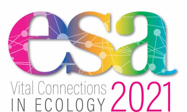 Holden Researchers Present at ESA