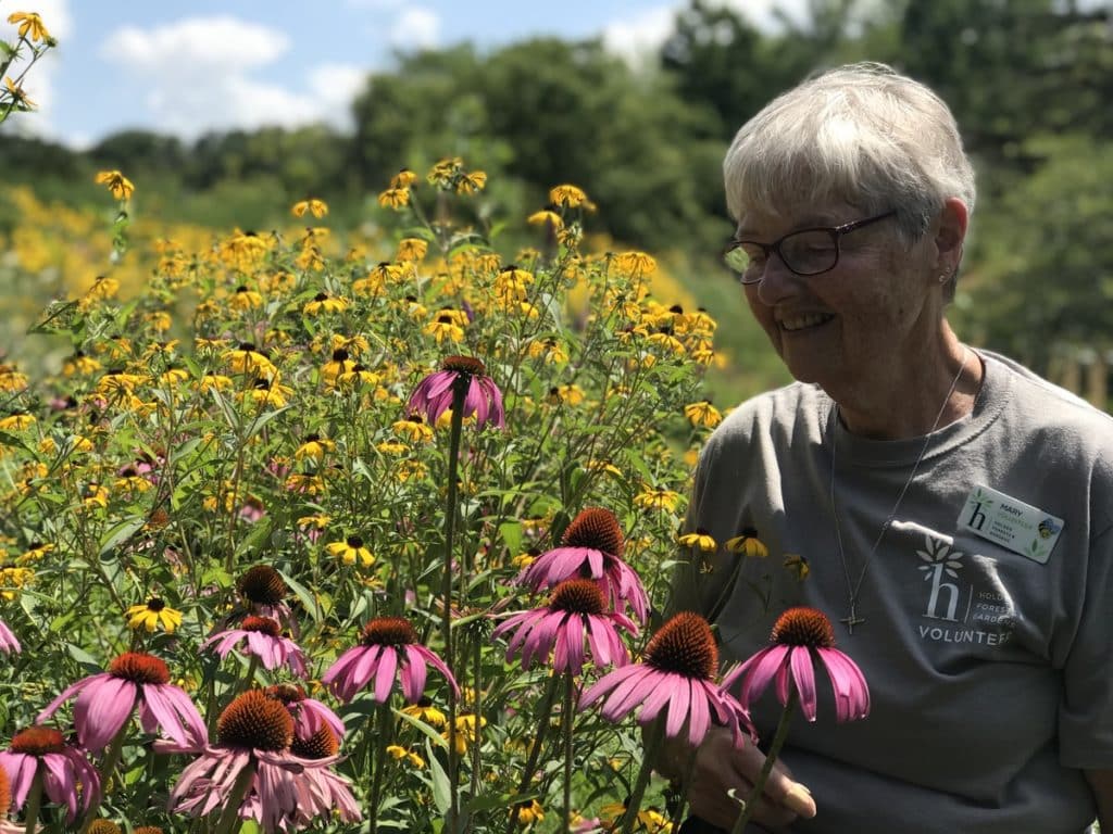 Researchers, Horticulturists, and Volunteers Team Up to Leverage Long-Term Pollinator Data