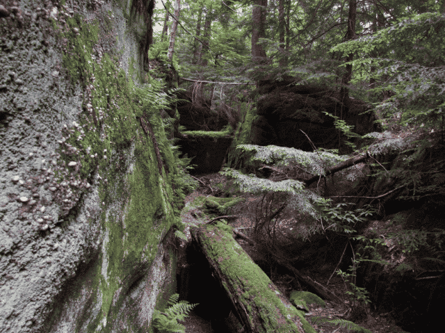 Magnificence on the Mountain Hike
