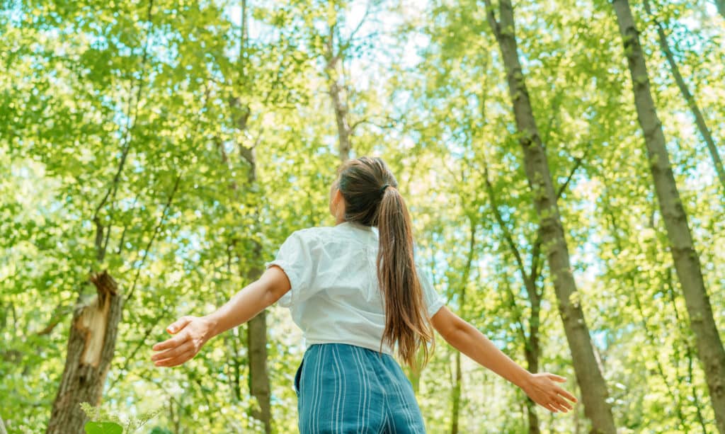 Wellness in the Woods