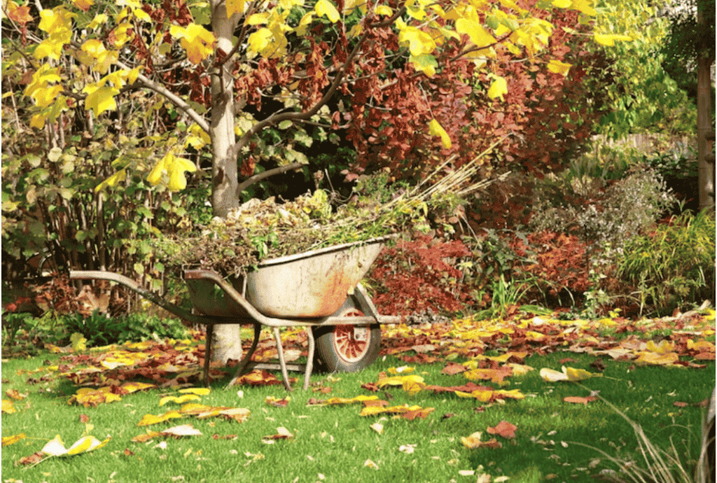 Autumn Gardening for Nature Lovers; Leave the Leaves