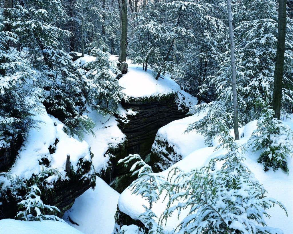 Magnificence on the Mountain Hike