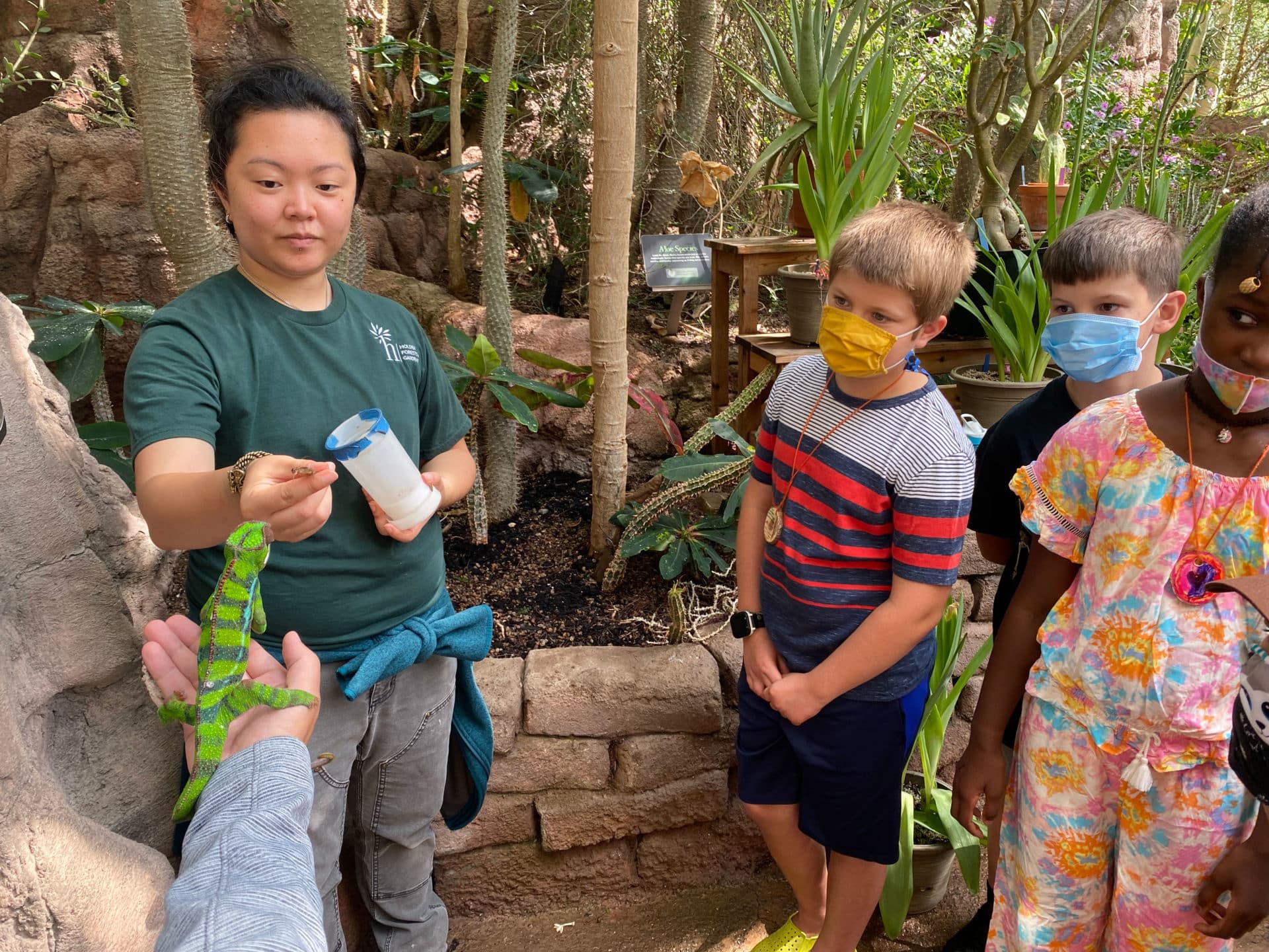 Cleveland summer camp guide showing a chameleon to children