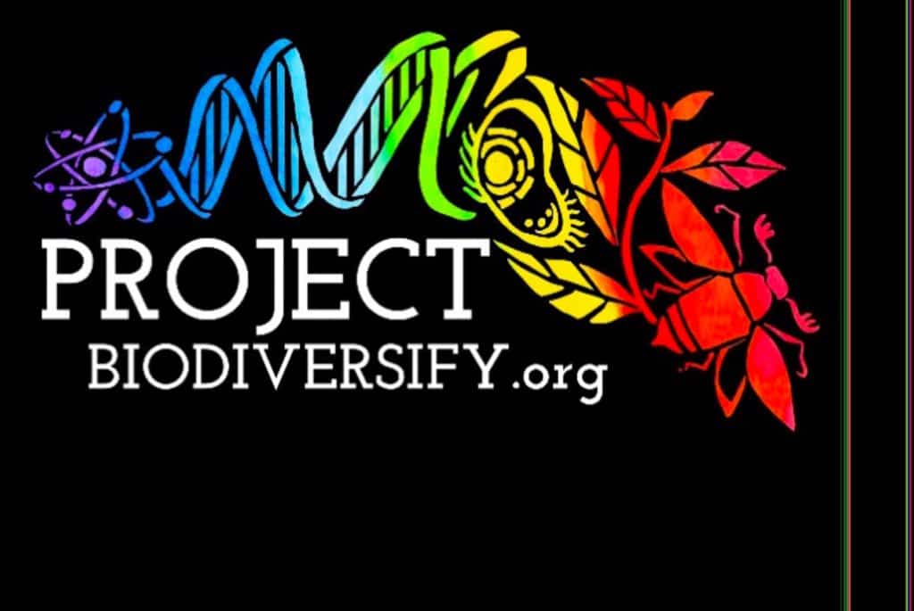 Science on Fridays with Holden: Roadmaps to building equitable and inclusive research experiences in STEM