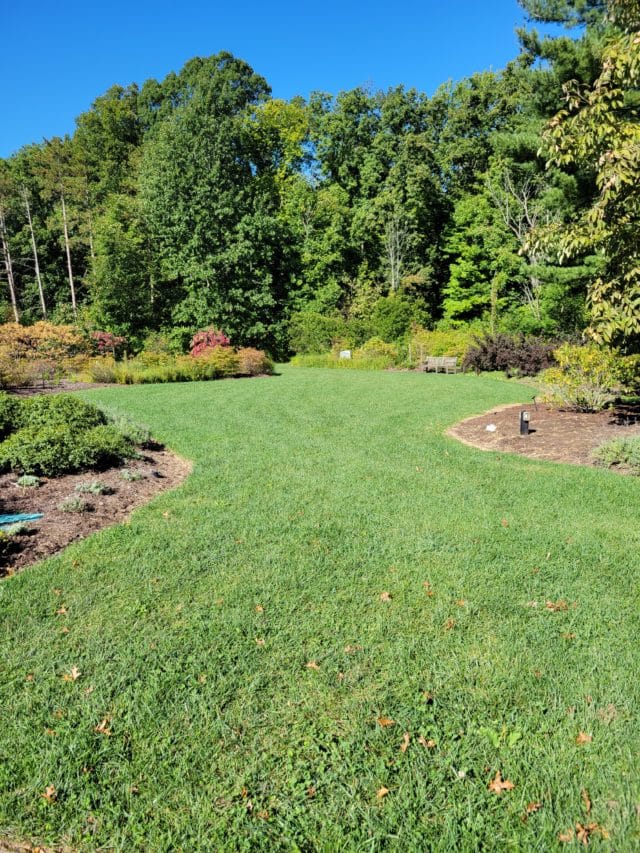 Rhododendron Discovery Garden