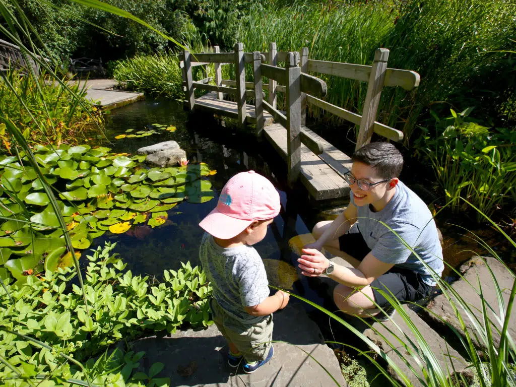 Sensory-Friendly Day