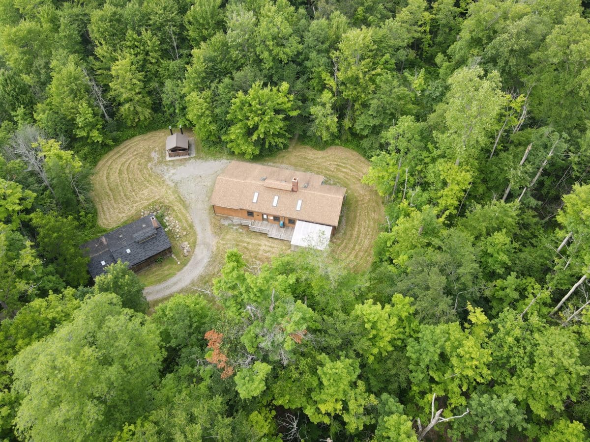 Pass on or Protect the Woods » Land management, Trees » HF&G