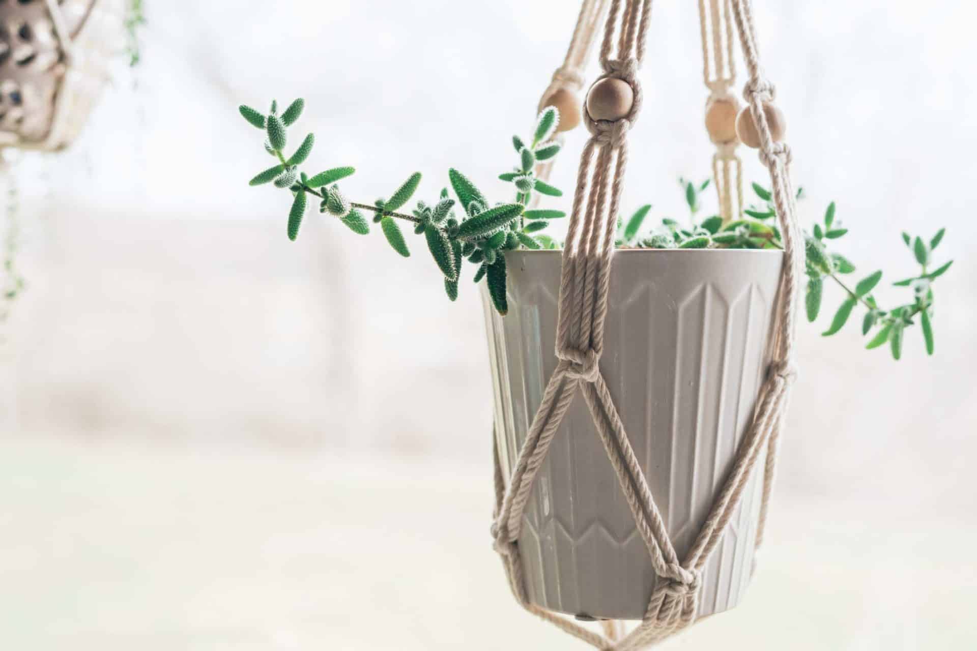 macramé