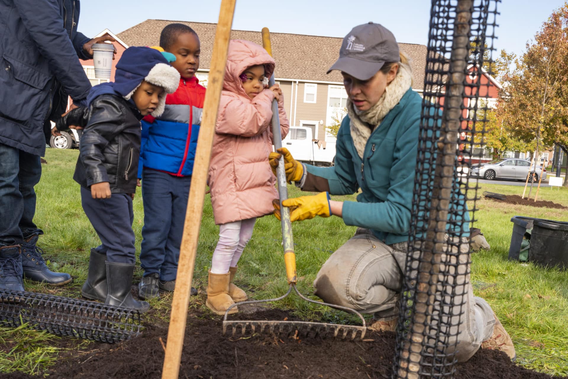 Tree planting